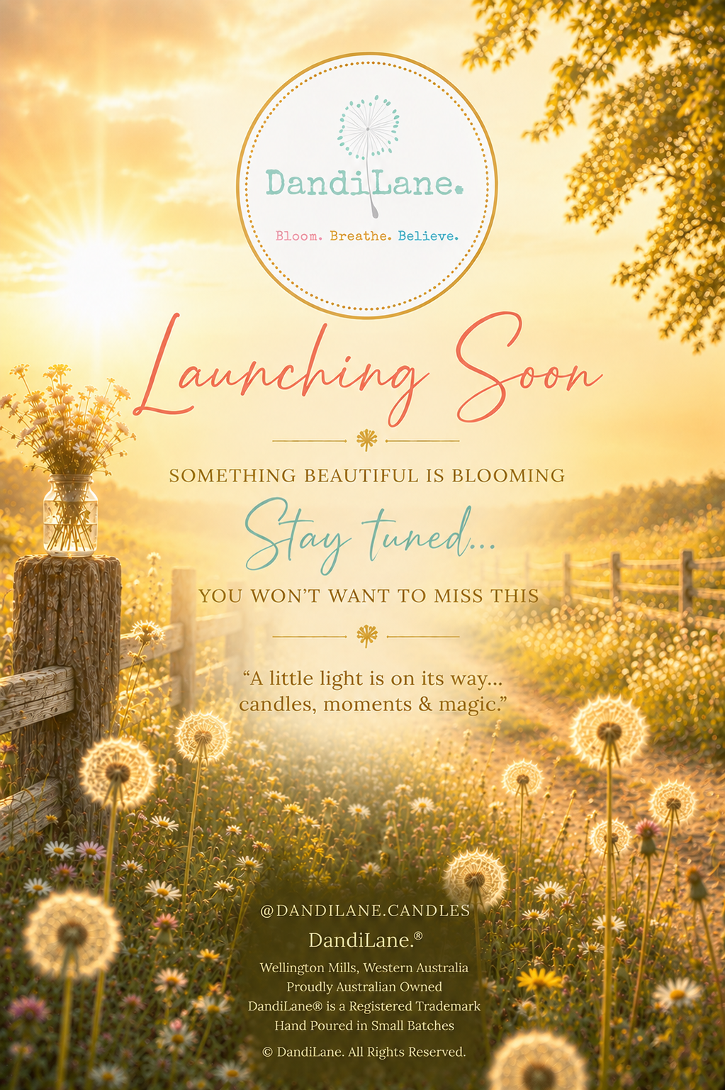DandiLane launching soon. A little light is on its way — candles, moments and magic.